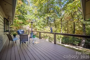 1955 Connestee Trail, Brevard, NC 28712 - Photo 20