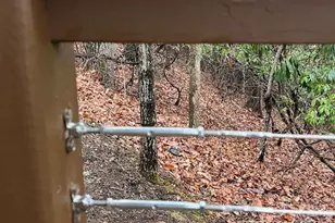 1955 Connestee Trail, Brevard, NC 28712 - Photo 44