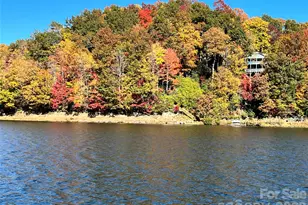 1955 Connestee Trail, Brevard, NC 28712 - Photo 32