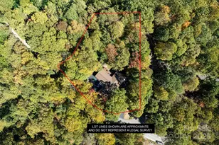 1955 Connestee Trail, Brevard, NC 28712 - Photo 14