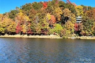 1955 Connestee Trail, Brevard, NC 28712 - Photo 40