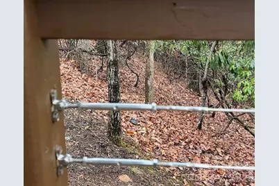 1955 Connestee Trail, Brevard, NC 28712 - Photo 46