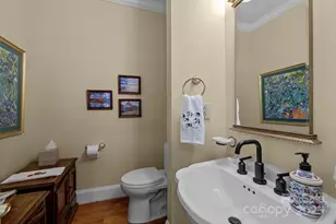 10317 Clubhouse View Ln, Mint Hill, NC 28227 - Photo 16