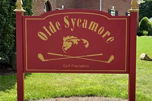 10317 Clubhouse View Ln, Mint Hill, NC 28227 - Photo 46