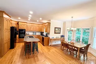 10317 Clubhouse View Ln, Mint Hill, NC 28227 - Photo 12