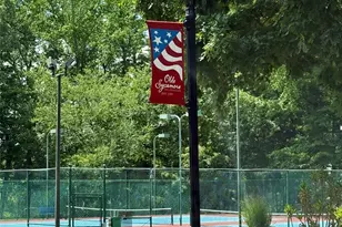 10317 Clubhouse View Ln, Mint Hill, NC 28227 - Photo 42