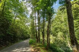 99999 Christian Creek Rd, Swannanoa, NC 28778 - Photo 1