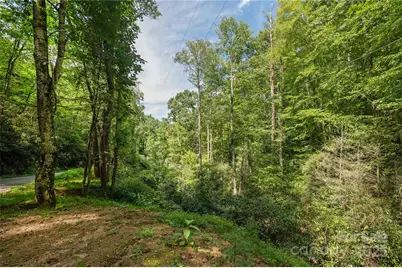 99999 Christian Creek Road, Swannanoa, NC 28778 - Photo 2