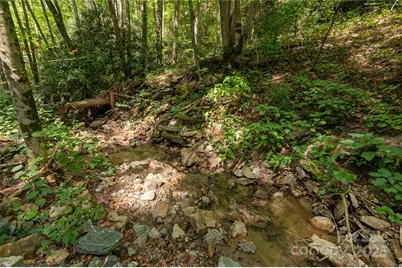 99999 Christian Creek Road, Swannanoa, NC 28778 - Photo 4