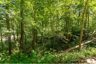 99999 Christian Creek Road, Swannanoa, NC 28778 - Photo 8