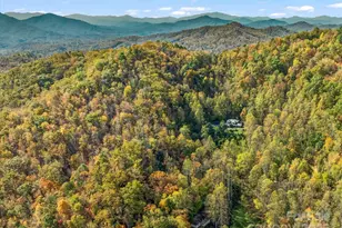 336 Berry Ln, Bryson City, NC 28713 - Photo 40