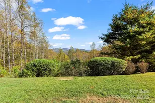 336 Berry Ln, Bryson City, NC 28713 - Photo 4