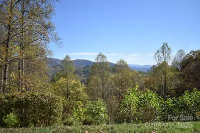 336 Berry Lane, Bryson City, NC 28713 - Photo 24