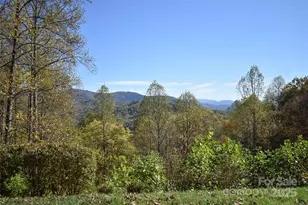 336 Berry Ln, Bryson City, NC 28713 - Photo 24