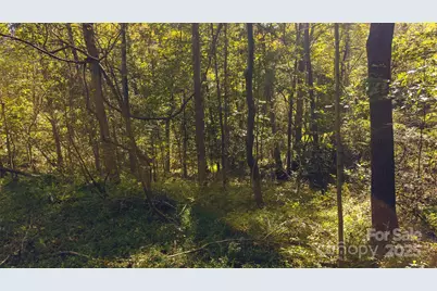 Tbd Mary Lane, Hamptonville, NC 27020 - Photo 20