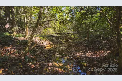 Tbd Mary Lane, Hamptonville, NC 27020 - Photo 26