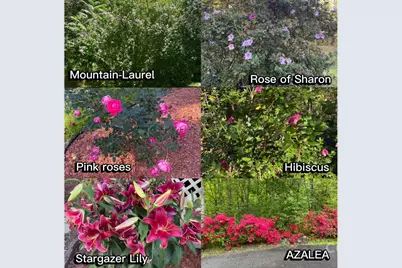 39 Lambert Lane, Black Mountain, NC 28711 - Photo 48