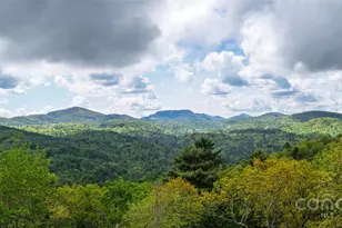 264 Jocassee Trl, Sapphire, NC 28774 - Photo 8