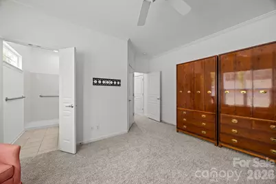 30229 Wood Duck Lane, Indian Land, SC 29707 - Photo 8