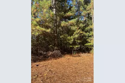 00 Horton Road, Wadesboro, NC 28170 - Photo 2