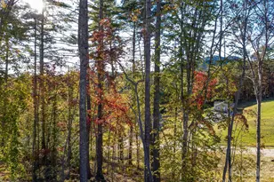 262 Appalachian Wy, Mars Hill, NC 28754 - Photo 32