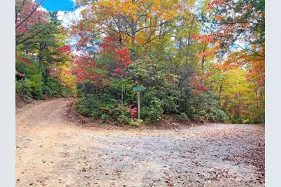 57 Grouse Ridge Drive, Black Mountain, NC 28711 - Photo 8