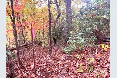 57 Grouse Ridge Drive, Black Mountain, NC 28711 - Photo 22