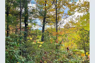 57 Grouse Ridge Drive, Black Mountain, NC 28711 - Photo 30