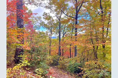 57 Grouse Ridge Drive, Black Mountain, NC 28711 - Photo 20