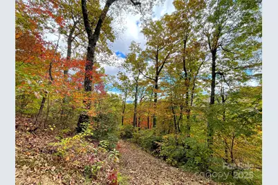 57 Grouse Ridge Drive, Black Mountain, NC 28711 - Photo 34