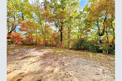 57 Grouse Ridge Drive, Black Mountain, NC 28711 - Photo 16