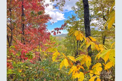 57 Grouse Ridge Drive, Black Mountain, NC 28711 - Photo 1