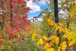 57 Grouse Rdg Dr, Black Mountain, NC 28711 - Photo 1