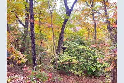 57 Grouse Ridge Drive, Black Mountain, NC 28711 - Photo 24