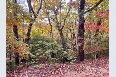 57 Grouse Ridge Drive, Black Mountain, NC 28711 - Photo 18