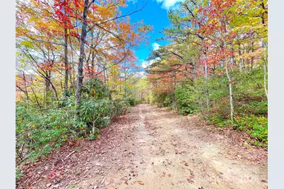 57 Grouse Ridge Drive, Black Mountain, NC 28711 - Photo 38