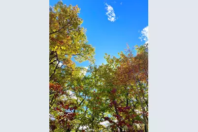 57 Grouse Ridge Drive, Black Mountain, NC 28711 - Photo 28