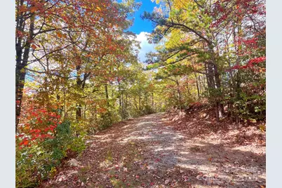 57 Grouse Ridge Drive, Black Mountain, NC 28711 - Photo 36