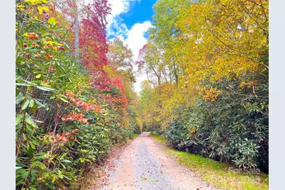 57 Grouse Ridge Drive, Black Mountain, NC 28711 - Photo 6