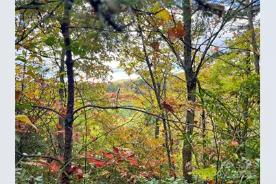 57 Grouse Ridge Drive, Black Mountain, NC 28711 - Photo 32