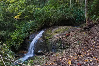 243 Ridgeline Drive, Brevard, NC 28712 - Photo 38