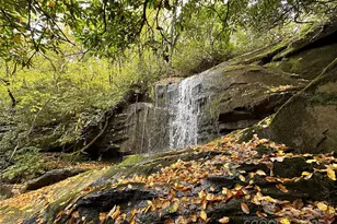 243 Ridgeline Dr, Brevard, NC 28712 - Photo 42