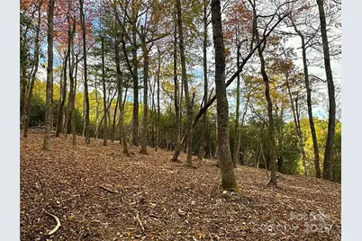 243 Ridgeline Drive, Brevard, NC 28712 - Photo 30