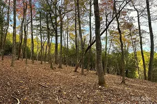 243 Ridgeline Dr, Brevard, NC 28712 - Photo 30