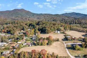 11 Aloha Cir, Candler, NC 28715 - Photo 36