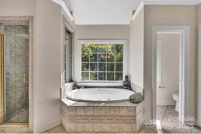 20657 Spring Grove Lane, Cornelius, NC 28031 - Photo 32