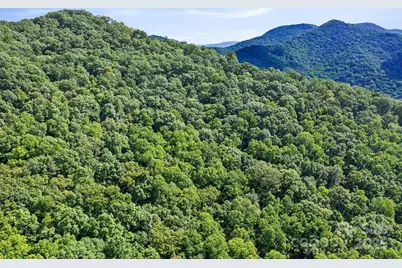 99999 Moody Cove Road, Weaverville, NC 28787 - Photo 14