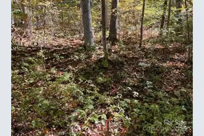 99999 Moody Cove Road, Weaverville, NC 28787 - Photo 4