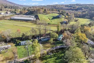 221 Turkey Pen Gap Rd, Horse Shoe, NC 28742 - Photo 24