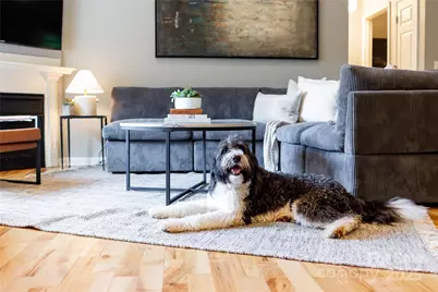 608 Hiawassee Avenue, Black Mountain, NC 28711 - Photo 6